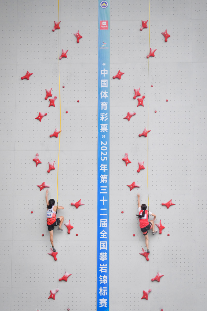 重庆市九龙坡区人民政府(图2)