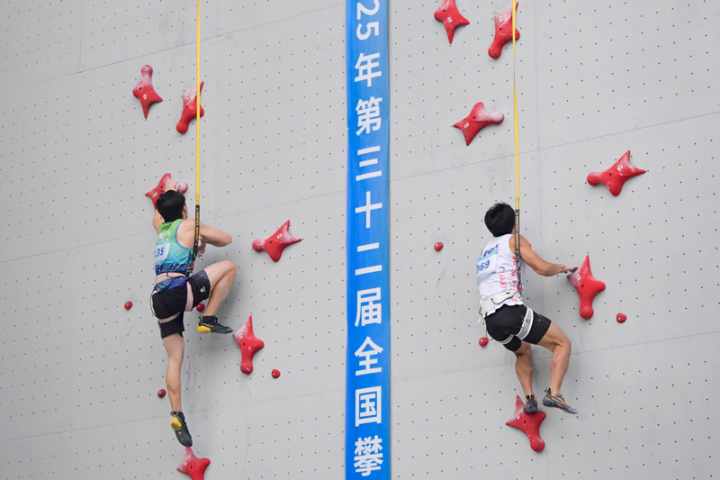 重庆市九龙坡区人民政府(图5)