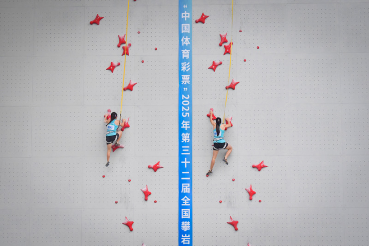 重庆市九龙坡区人民政府(图8)