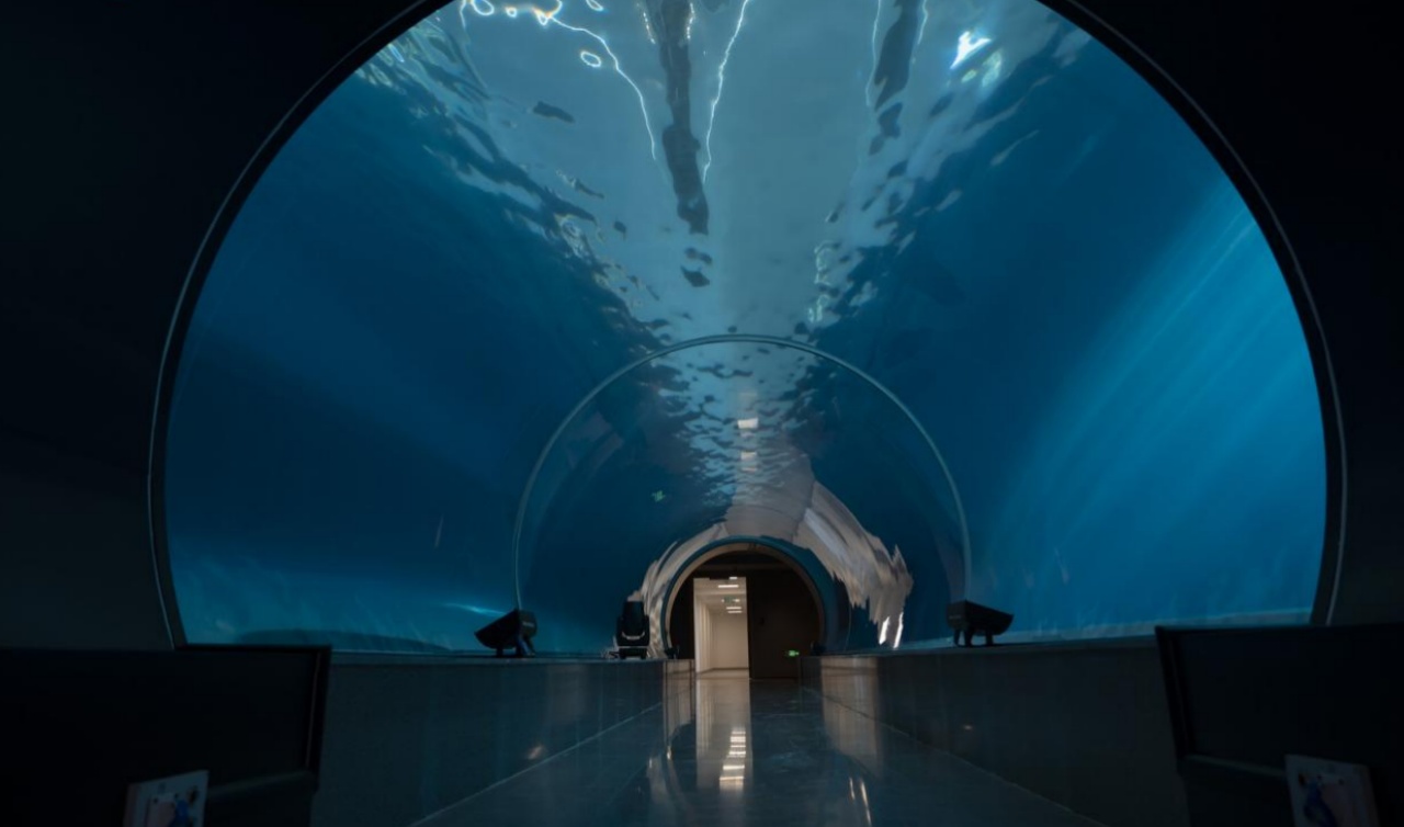 跳伞潜水探险“轻极限运动者”在建德找到“快乐老家”(图2)