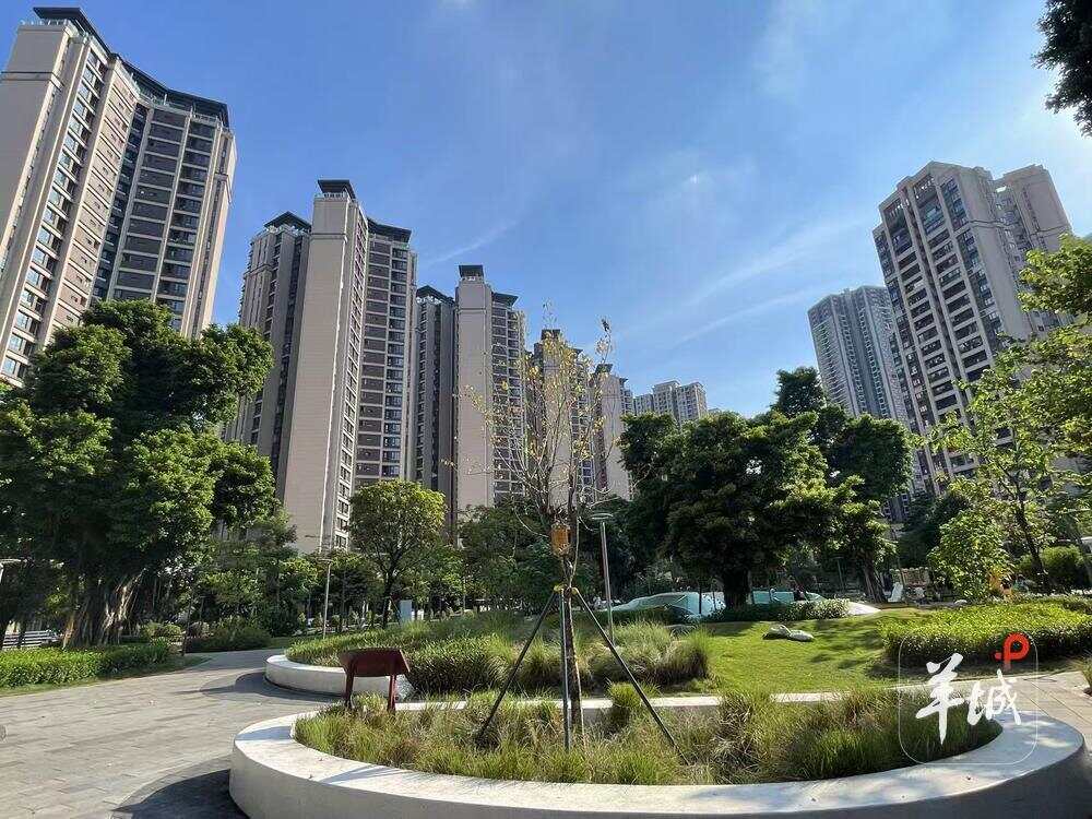 【有事好商量①记者跑】口袋公园深度融入社区网络激发内生治理活力成关键(图4)