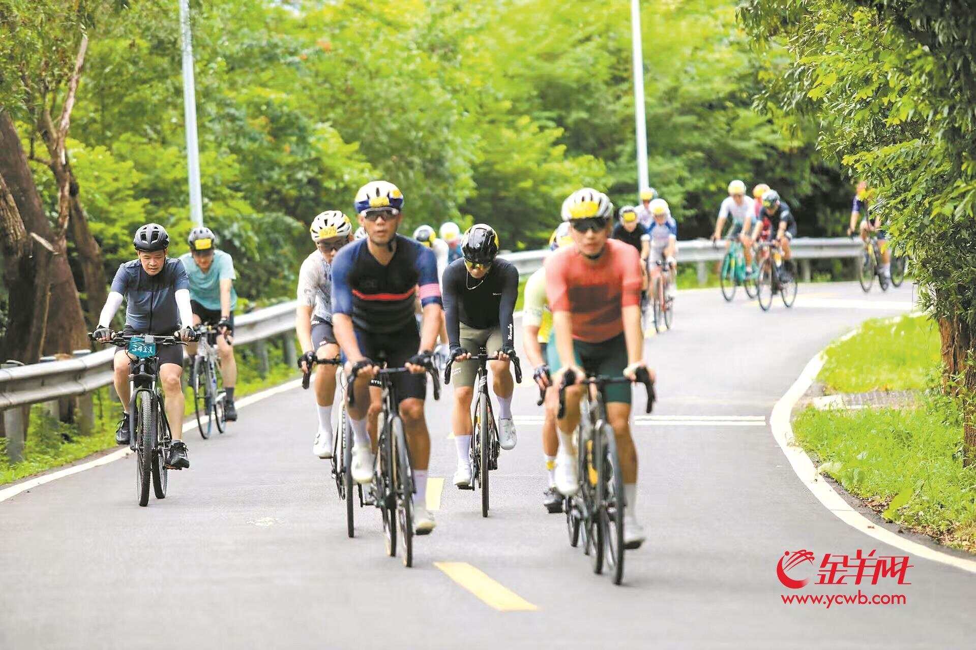 赛事赋能城市惠州强势进军“体育经济”