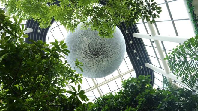 邂逅剧场、森林与星空？南翔印象城MEGA解锁“另一种生活”(图7)