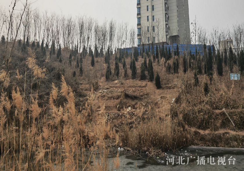 闪闪发光的城临城：为居民留下一汪清水(图2)