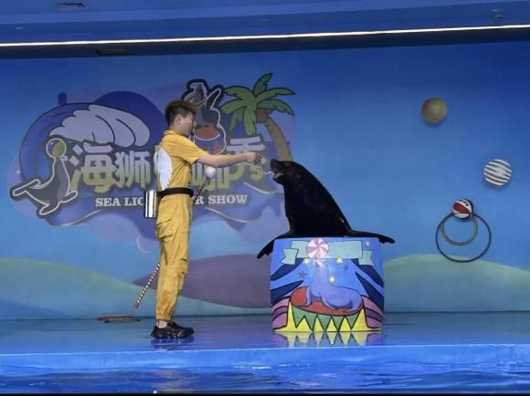 又一批主题乐园“国庆档”开业全球最大室内滑雪场也来了！(图16)