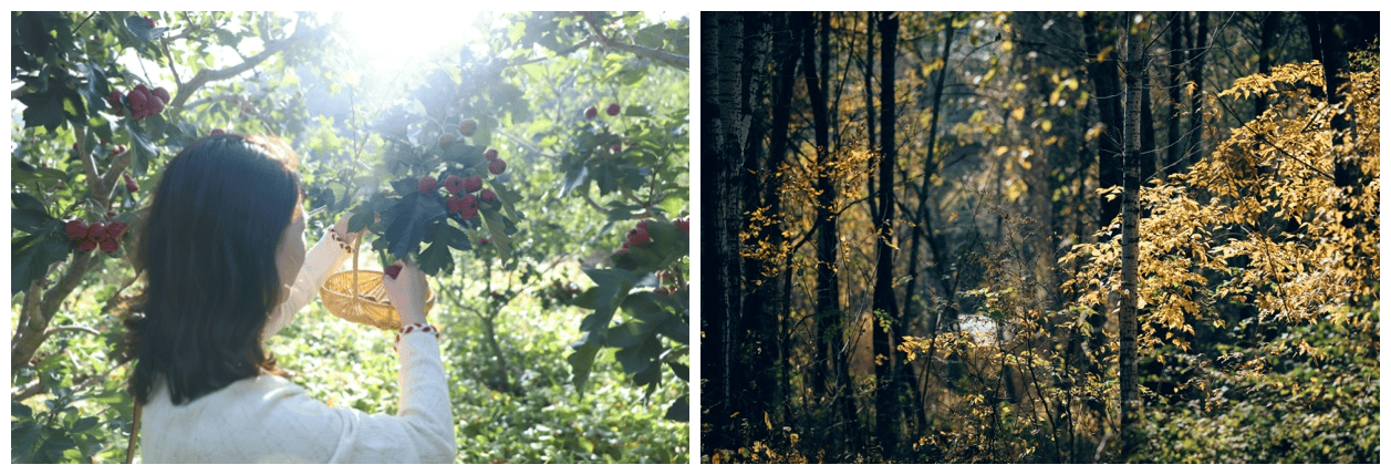 北京山谷：全龄友好社区实践开启三代同乐生活新篇章(图6)