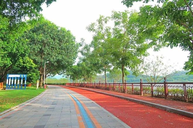 市中心地标+1！东莞这条环湖路完成提升改造(图4)