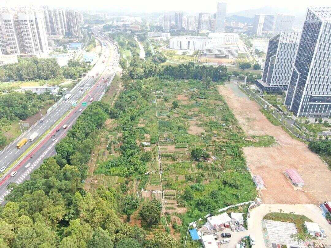 试运营期间免费开放！广州新添一座体育公园→(图4)