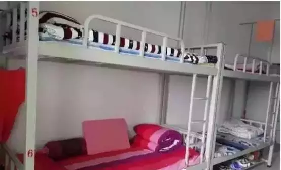 走近清华北大的摇篮——濮阳市一高(图6)