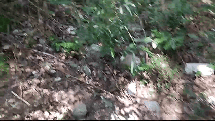 危险！岩降时突发意外金华一女子从12米岩壁高坠！