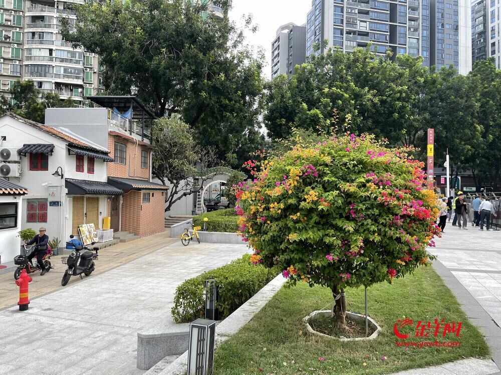 靓！广州陈家祠片区大变样！记者带你实地探“新景”｜记者走访(图6)