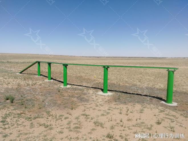 军警体能训练场建设与使用规范要点解析(图2)