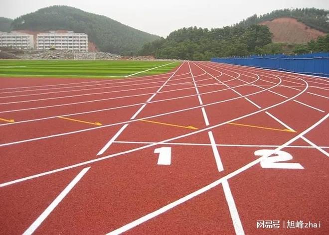 专业塑胶跑道生产厂家技术与实践白皮书(图3)