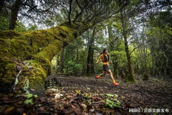 关注全国首批！云南两地入选