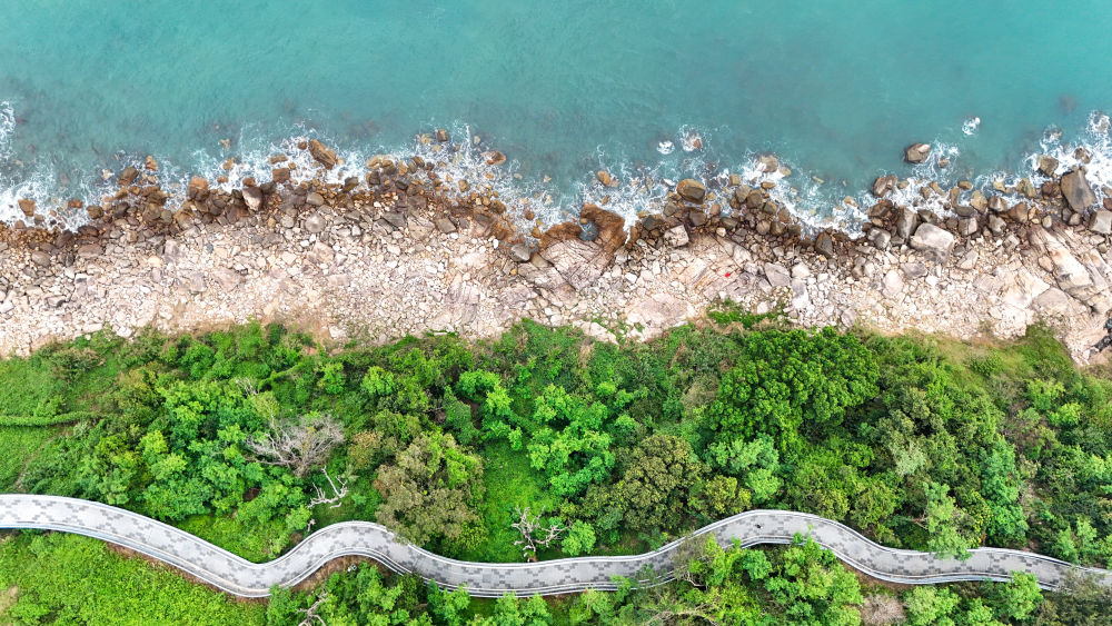 体育地理丨跃动大湾区(图20)