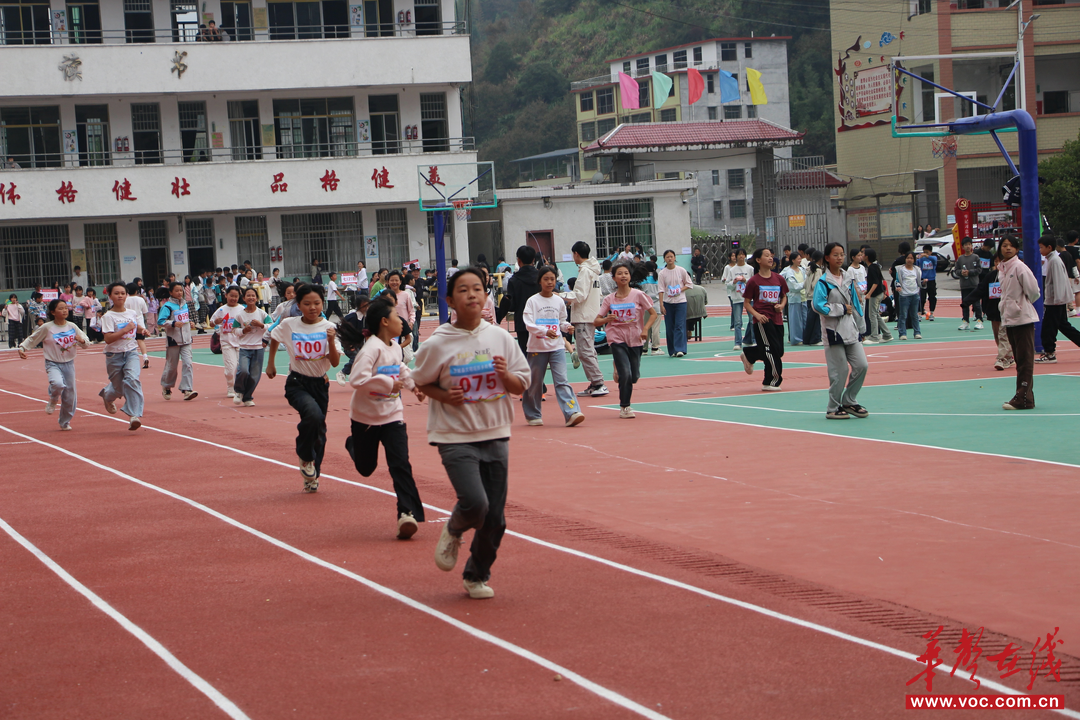 汝城县文明瑶族乡岭秀学校新建运动场通过验收(图3)