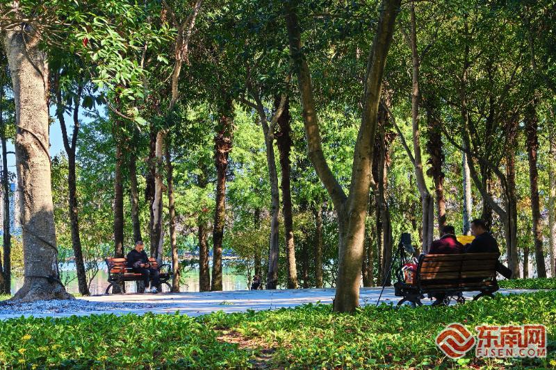 宁德环东湖景观焕新升级市民乐享“会呼吸的水岸”
