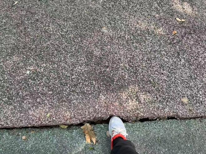 健身步道年久失修路面开裂市民呼吁及时修复消除隐患(图3)