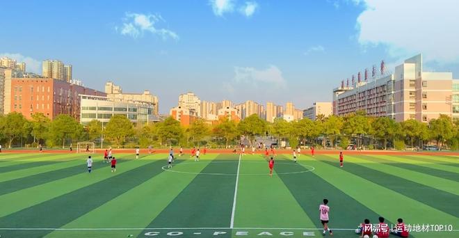 权威盘点！2025年人造草坪十大品牌榜单出炉谁是行业领头羊？(图3)