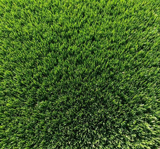 权威盘点！2025年人造草坪十大品牌榜单出炉谁是行业领头羊？