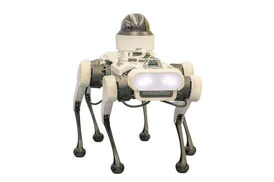 从“神奇跑道”看新科技“秀场”