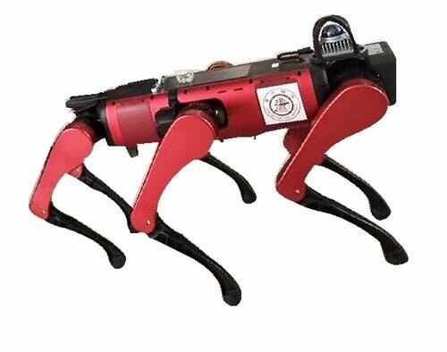 这场保障赛城市也是冠军(图9)