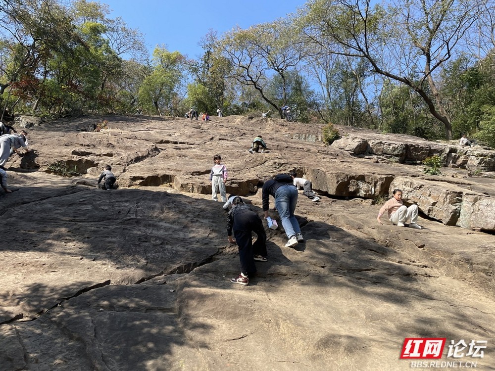 岁暖时刻｜风拂岩壁也拂过忠魂——赫石坡的“火”该照进历史深处(图7)