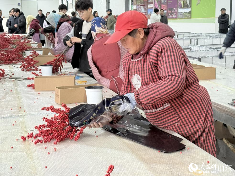 山东威海：成山民宿兴村菱角湾红果富民(图4)