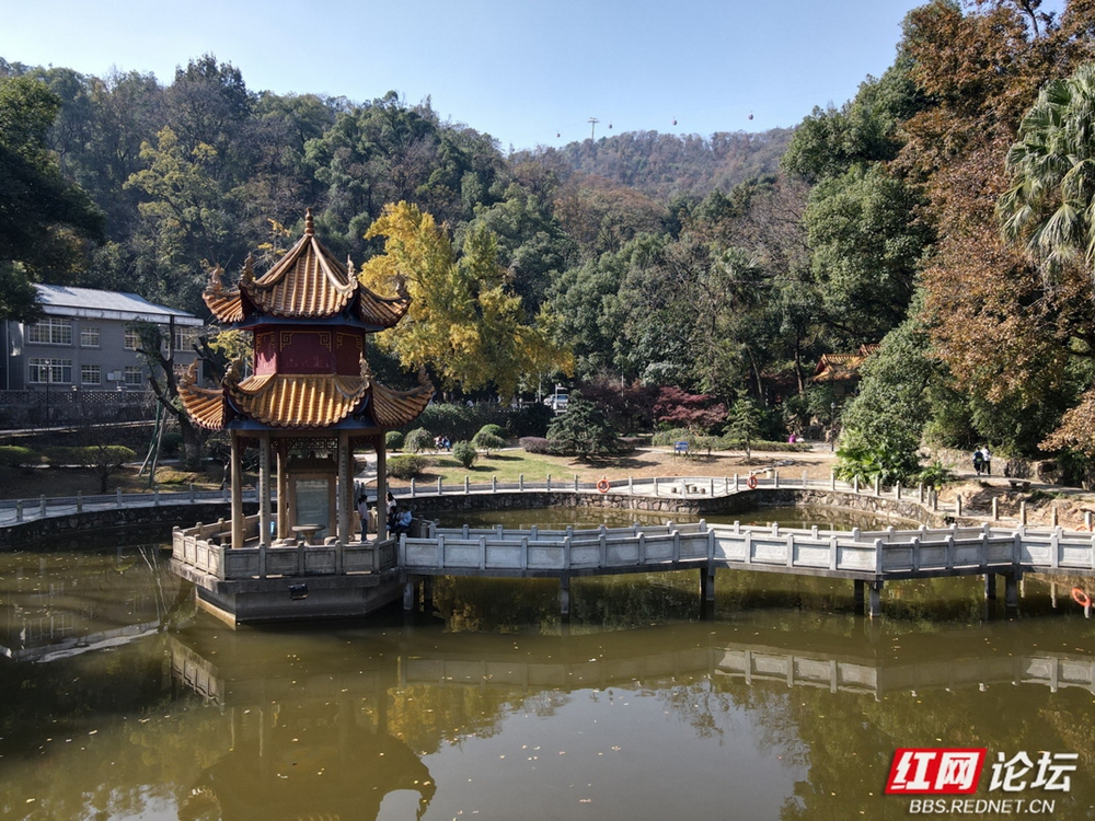 岁暖时刻｜风拂岩壁也拂过忠魂——赫石坡的“火”该照进历史深处(图4)