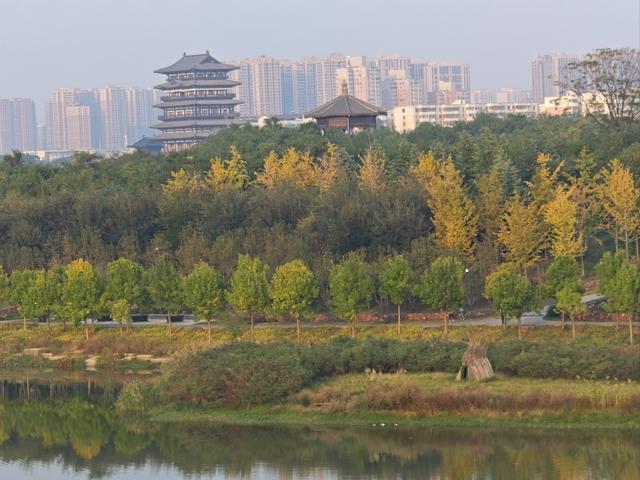 全部免费！郑州5个周末散步、约会、遛娃的好去处→(图6)