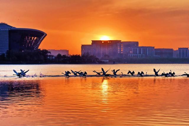 全部免费！郑州5个周末散步、约会、遛娃的好去处→(图2)