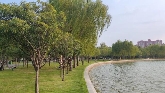 全部免费！郑州适合一家人一起去的公园推荐！(图3)