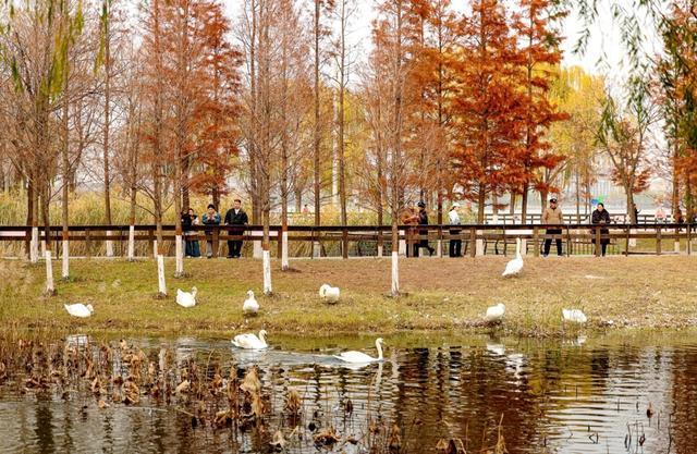 全部免费！郑州适合一家人一起去的公园推荐！(图4)