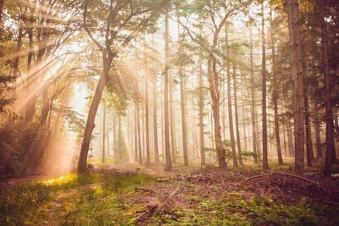 体育赛事采用环保材料(图2)