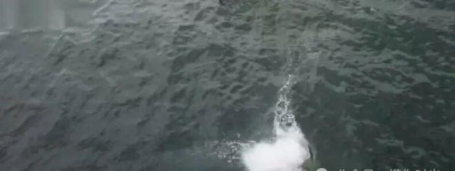 突发！王一博坠海(图3)