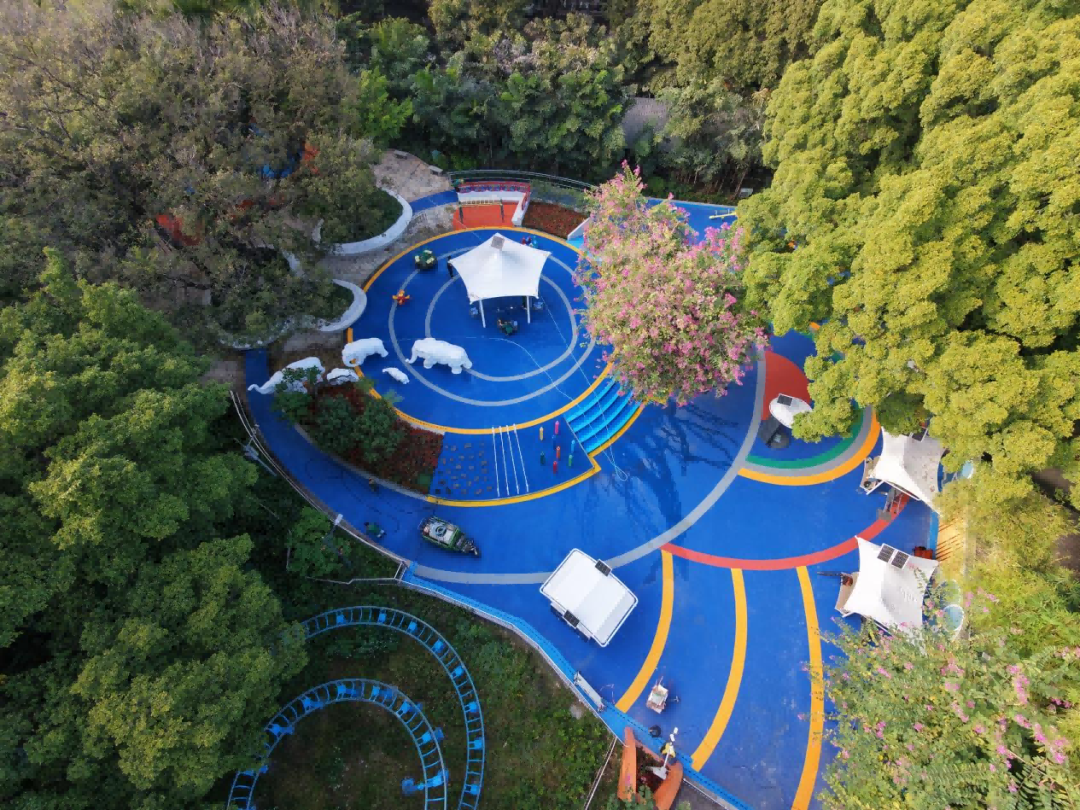 全新升级！广州流花湖公园健身区正式对外开放