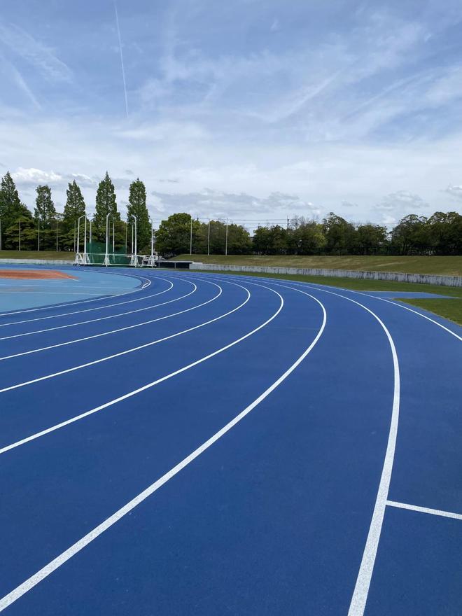 混合型塑胶跑道——专业赛事的常客揭秘(图2)