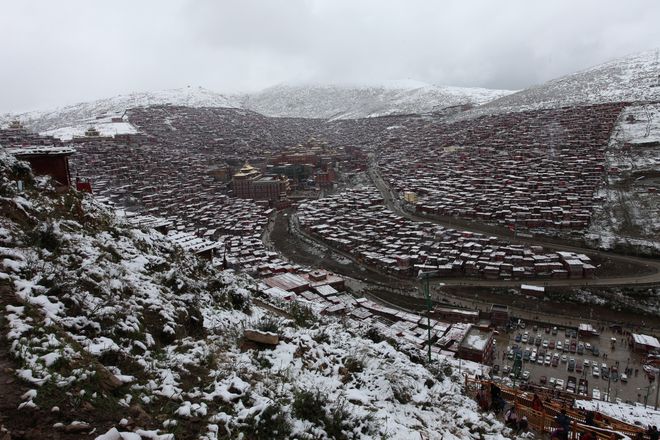 北京十佳正规社红榜发布：企鹅出行999分资质齐全服务品质榜首(图3)