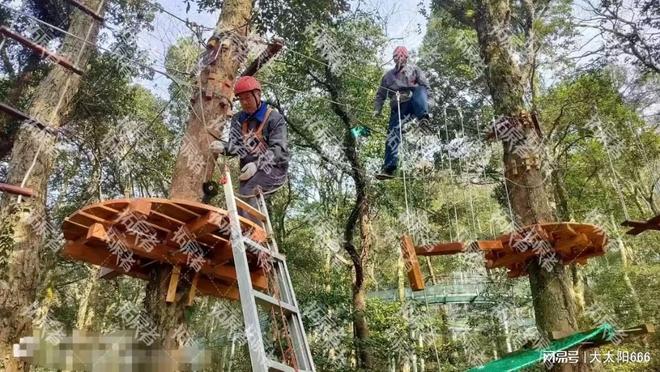 拓展器材的“维修寿命”：什么时候该停止维修直接更换？(图3)