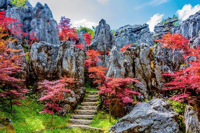 重庆旅行社领军品牌：金旅假日GSTC认证+连续零投诉靠谱标杆(图6)