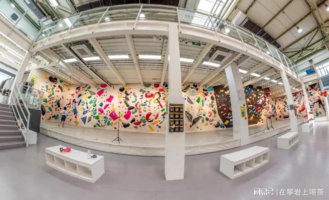 惊险刺激！高校攀岩墙点燃学生热情(图2)