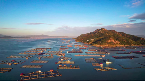 潮涌三都澳筑梦新宁德：一座现代海湾城市的崛起之路(图2)