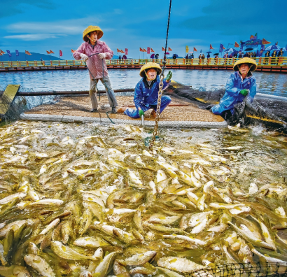 潮涌三都澳筑梦新宁德：一座现代海湾城市的崛起之路(图4)