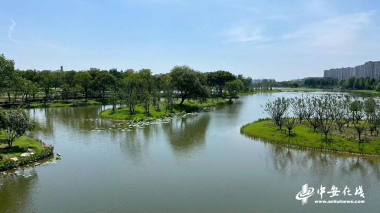 【辉煌十四五鸠江启新程】鸠江：公园“逆生长”旧貌换新颜(图3)