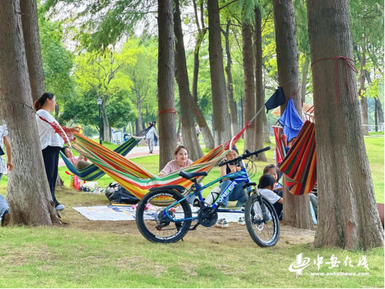 【辉煌十四五鸠江启新程】鸠江：公园“逆生长”旧貌换新颜(图4)