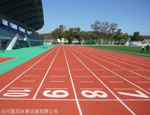 操场塑胶跑道铺设厂家(图1)
