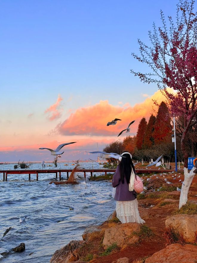 中望上榜！昆明靠谱旅行社定制服务高口碑评价前十强全收录(图2)