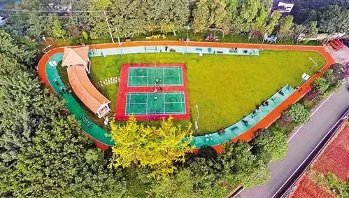 沙坪坝城市公园成为市民乐园把城市建成美丽家园(图3)