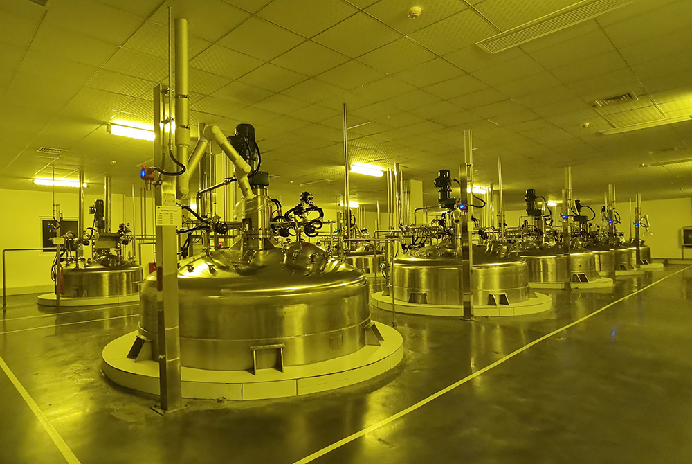 王场镇：项目建设加速度奋力冲刺全年红