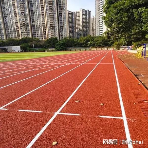 社区健身混合式塑胶跑道厂家推荐(图3)